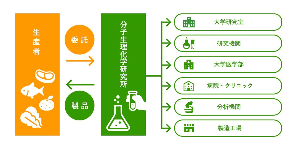 当社研究員と各分野の医師や大学教授、専門家との共同開発の流れを示した図