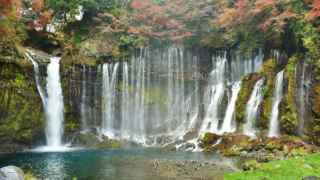 身体の調整に欠かせない栄養素～ミネラル～